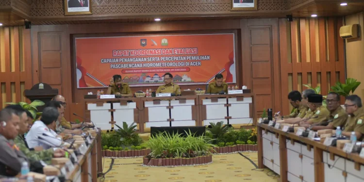 Mualem Minta Mendagri Percepat Pemulihan Sawah dan Jembatan Pascabencana di Aceh