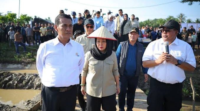 Pemerintah Aceh Jelaskan Posisi Bantuan Kementan untuk Pemulihan Sawah dan Kebun