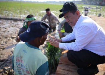 Pemerintah Aceh Pacu Pemulihan Sawah Terdampak Bencana Hidrometeorogi
