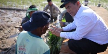 Pemerintah Aceh Pacu Pemulihan Sawah Terdampak Bencana Hidrometeorogi