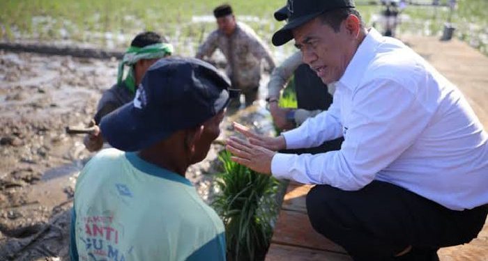 Pemerintah Aceh Pacu Pemulihan Sawah Terdampak Bencana Hidrometeorogi